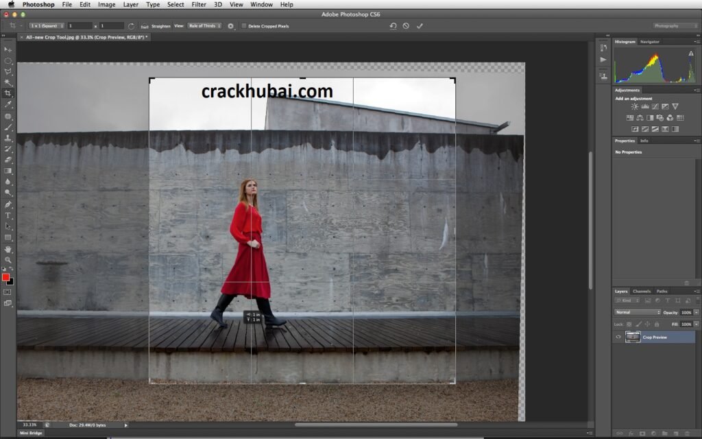 Adobe Photoshop CS6 Crack For PC Free Download 2024
